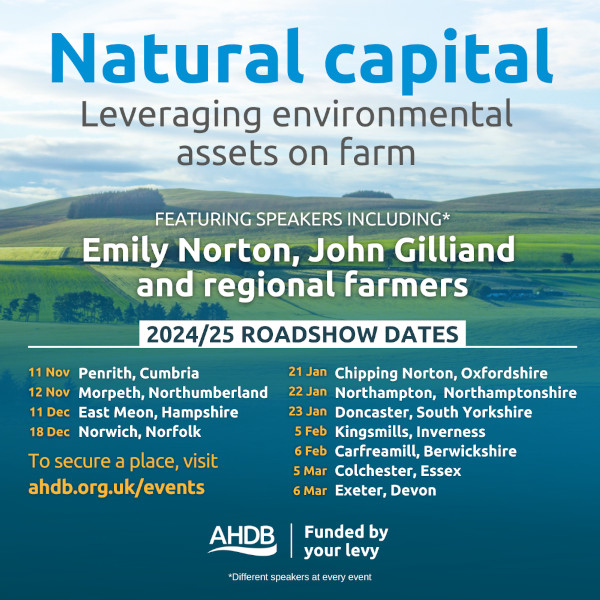 Natural capital poster